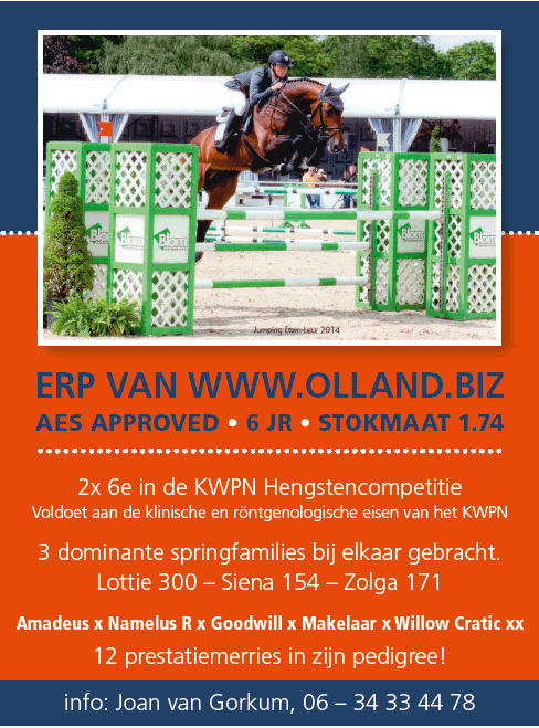 ERP van www.olland.biz (Amadeus x Namelus R)