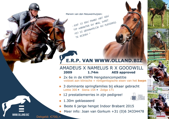 ERP van www.olland.biz